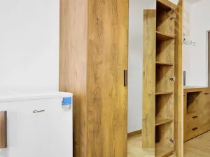 Pronájem bytu 1+kk, Ústí nad Labem - Ústí nad Labem-centrum, Čajkovského, 15 m2