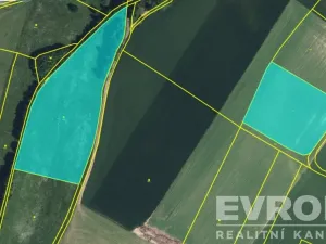 Prodej pole, Horní Branná, 29823 m2