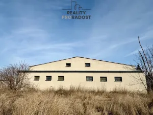 Prodej výrobních prostor, Křepice, 1115 m2