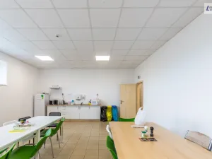 Pronájem výrobních prostor, Příbram - Příbram I, Dělostřelecká, 2099 m2