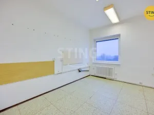 Pronájem obchodního prostoru, Babice, 300 m2