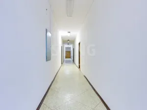 Pronájem obchodního prostoru, Babice, 300 m2