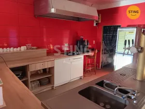 Prodej komerční nemovitosti, Vranovská Ves, 100 m2