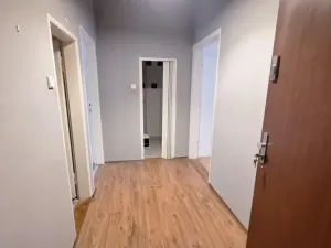 Pronájem bytu 1+1, Teplice, Americká, 50 m2