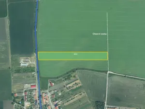 Prodej pole, Dolní Dunajovice, 14006 m2