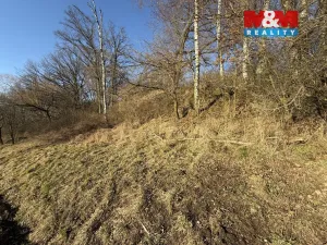 Prodej louky, Bošín, 799 m2