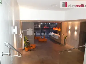 Pronájem bytu 1+kk, Praha - Žižkov, Olšanská, 37 m2