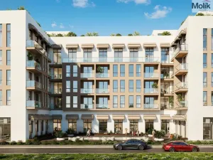 Prodej bytu 1+kk, Golem, 34 m2