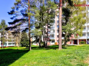 Prodej bytu 3+1, Žďár nad Sázavou, Nezvalova, 67 m2