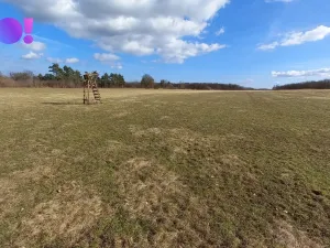 Prodej pole, Šanov, 61315 m2