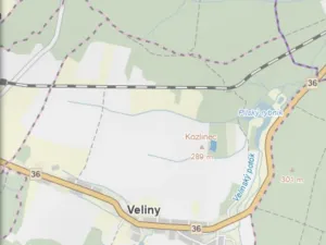 Prodej lesa, Veliny, 5028 m2