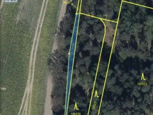 Prodej lesa, Veliny, 5028 m2