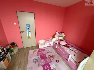 Prodej bytu 3+1, Most, Lidická, 64 m2