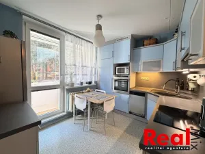 Prodej bytu 2+1, Brno - Žabovřesky, Mozolky, 51 m2