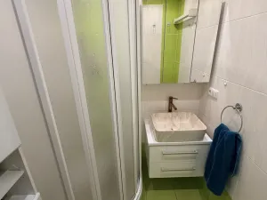 Prodej bytu 2+1, Brno - Žabovřesky, Mozolky, 51 m2