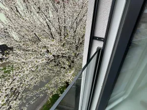 Prodej činžovního domu, Brno - Královo Pole, 267 m2