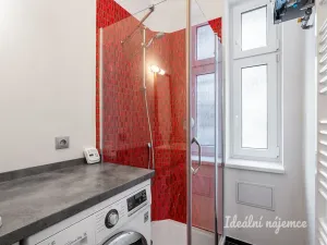 Pronájem bytu 2+1, Praha - Nusle, Na Jezerce, 49 m2