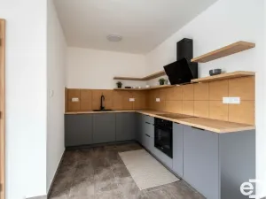 Prodej vícegeneračního domu, Koryta, 232 m2