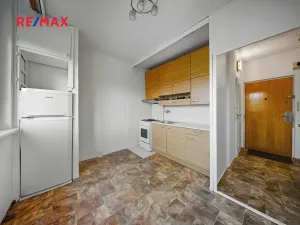 Pronájem bytu 1+1, Brno, Palackého třída, 32 m2