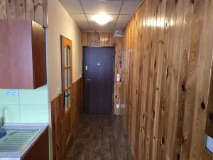 Prodej bytu 1+1, Litvínov - Horní Litvínov, Tylova, 37 m2