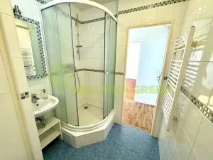 Prodej bytu 1+1, Otrokovice, Luční, 33 m2