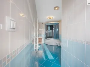 Prodej rodinného domu, Dráchov, 516 m2