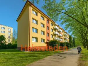 Pronájem bytu 2+1, Havířov - Město, Národní třída, 50 m2