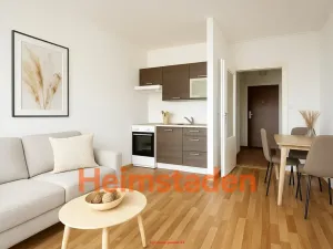 Pronájem bytu 1+kk, Ostrava - Poruba, Francouzská, 28 m2