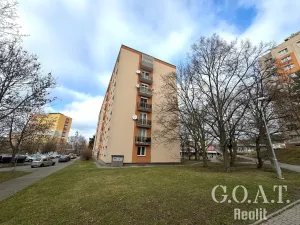 Prodej bytu 1+1, Plzeň, Na Dlouhých, 36 m2