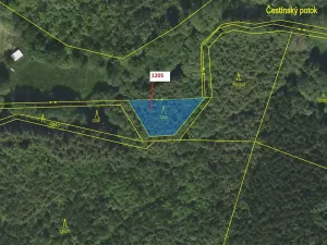 Dražba lesa, Čestín, 518 m2