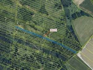 Dražba lesa, Nová Hradečná, 6275 m2