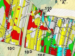 Dražba lesa, Nová Hradečná, 12014 m2