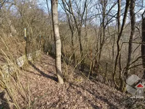 Prodej zahrady, Brno, Turistická, 207 m2