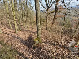 Prodej zahrady, Brno, Turistická, 207 m2