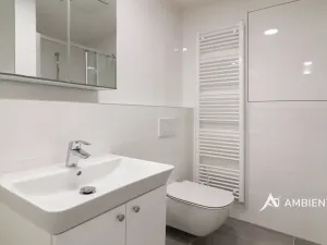 Pronájem bytu 1+kk, Brno, Ondřeje Sekory, 41 m2