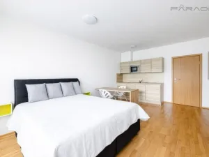 Prodej bytu 1+kk, Praha - Žižkov, Olšanská, 46 m2
