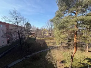 Pronájem bytu 2+1, Ostrava, Jižní, 55 m2