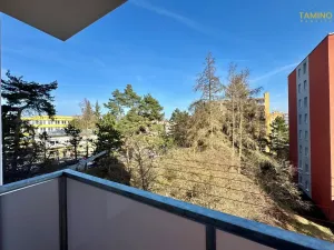 Prodej bytu 1+1, Třebíč, Modřínová, 38 m2