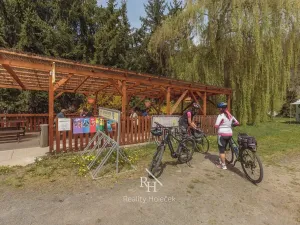 Prodej restaurace, Městečko, 230 m2