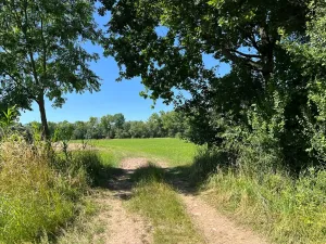 Prodej louky, Šestajovice, 3641 m2