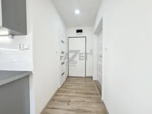 Prodej bytu 1+1, Ostrava - Moravská Ostrava, Josefa Brabce, 40 m2