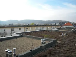 Pronájem bytu 2+kk, Brno, Kovařovicova, 64 m2