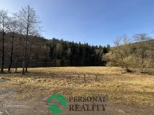 Prodej chaty, Klášterec nad Orlicí - Lhotka, 90 m2