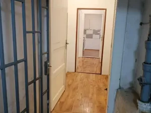 Prodej bytu 2+kk, Praha - Žižkov, Žerotínova, 53 m2