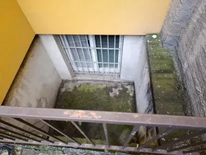 Prodej bytu 2+kk, Praha - Žižkov, Žerotínova, 53 m2