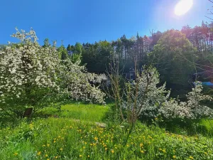 Prodej rodinného domu, Jenišovice, 283 m2