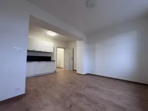 Pronájem bytu 1+kk, Praha - Střešovice, Na Petynce, 39 m2