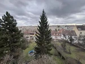 Pronájem bytu 1+kk, Praha - Střešovice, Na Petynce, 32 m2