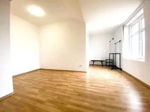 Pronájem bytu 3+kk, Čistá, 70 m2