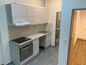 Pronájem bytu 3+kk, Litomyšl, Havlíčkova, 60 m2